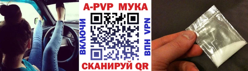 закладки  Новая Ляля  A PVP СК 
