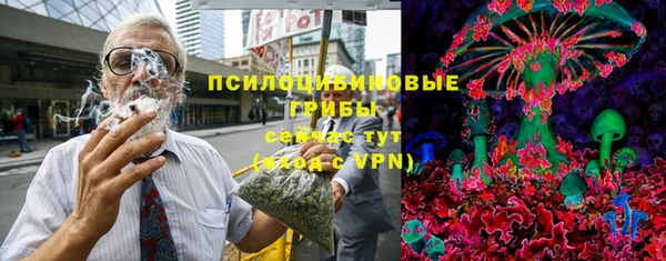 шишки Алексеевка
