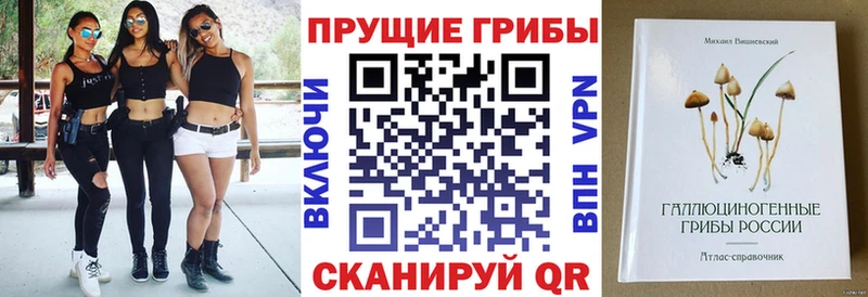 Галлюциногенные грибы мухоморы  наркошоп  Новая Ляля 